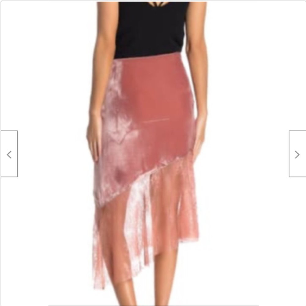 NWT Free People My Lacey Velvet Midi Skirt Sheer - Picture 4 of 6